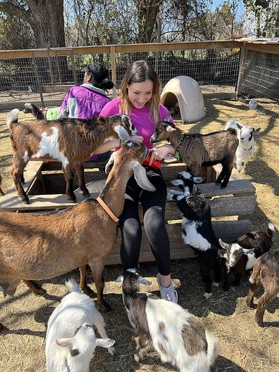 At the Petting Zoo - Cassidy Is Popular